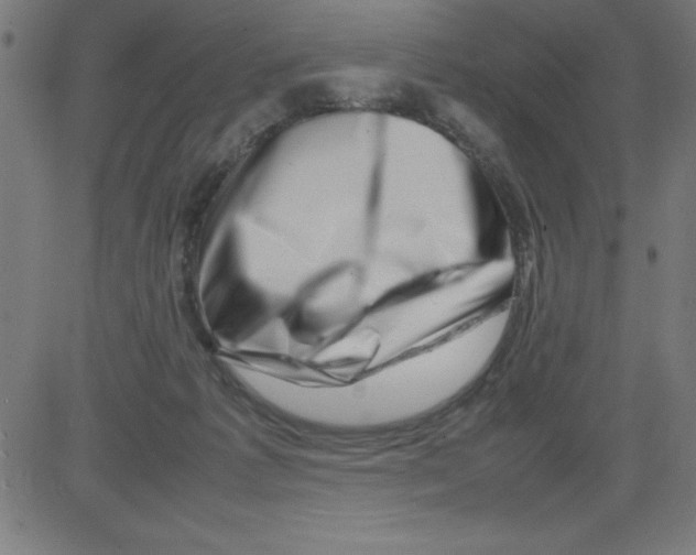 X0000081450221200702092258