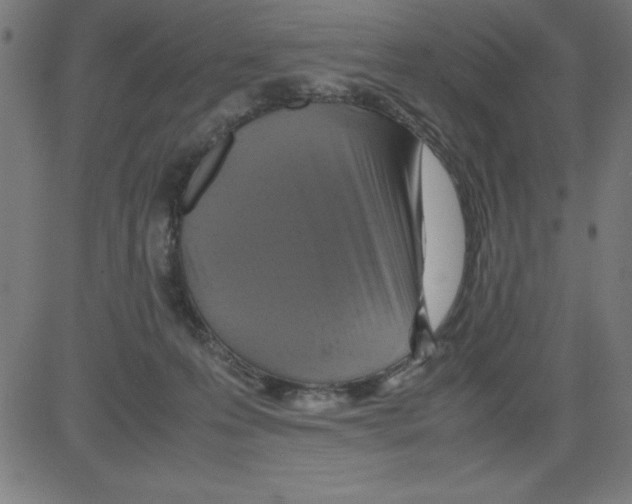 X0000081450223200702092258