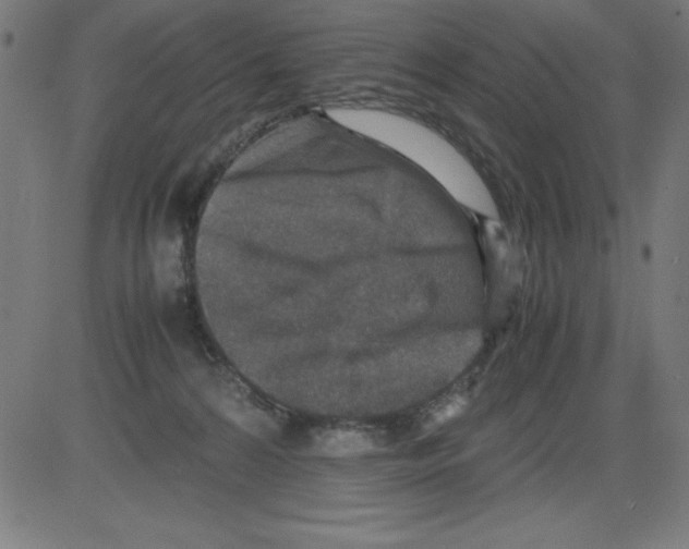 X0000081450224200702092258