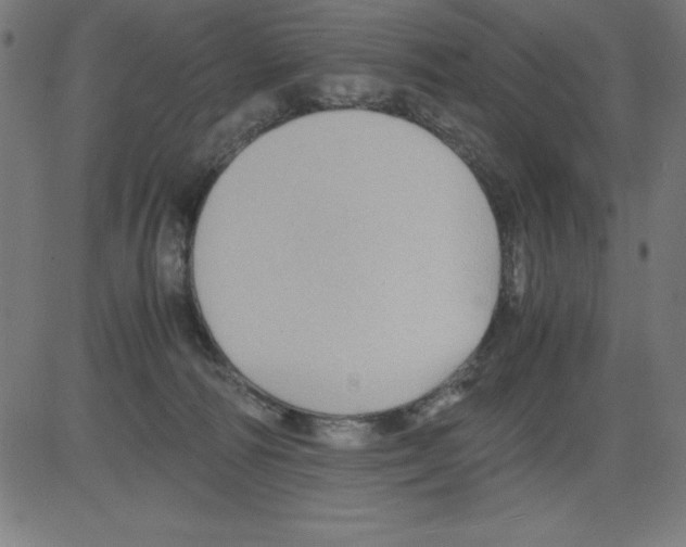 X0000081450226200702092258