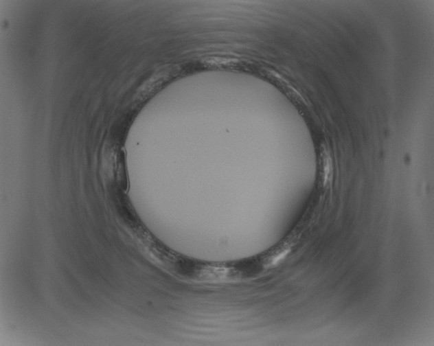 X0000081450227200702092258