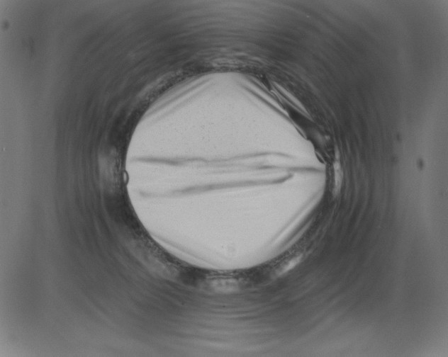 X0000081450228200702092258