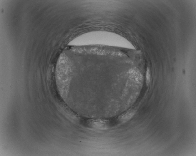 X0000081450229200702092257