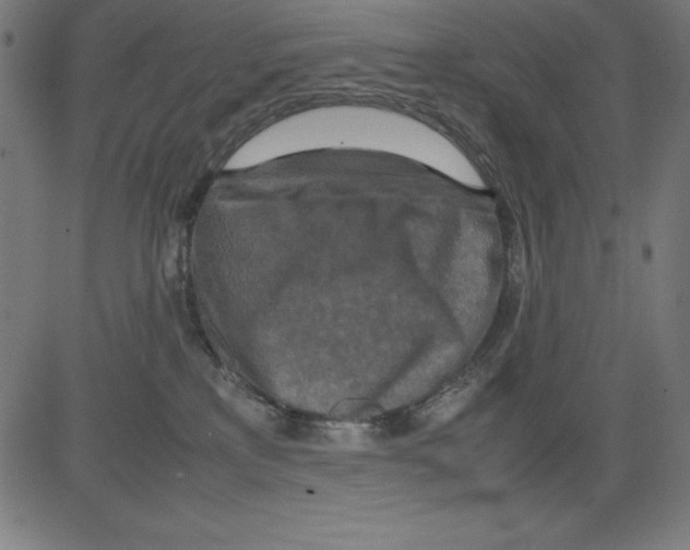 X0000081450233200702092257