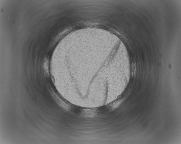 X0000081450238200702092257
