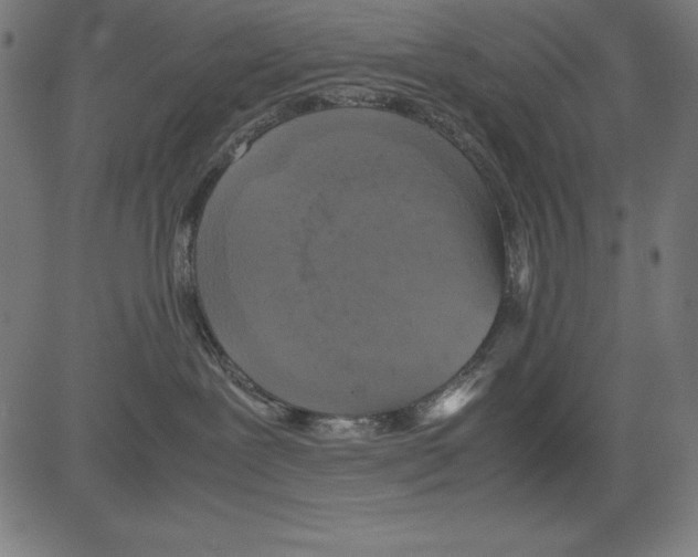 X0000081450239200702092257
