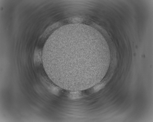 X0000081450240200702092257