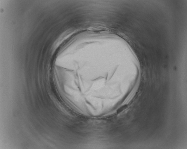X0000081450242200702092257