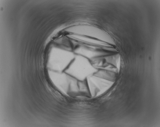 X0000081450244200702092257