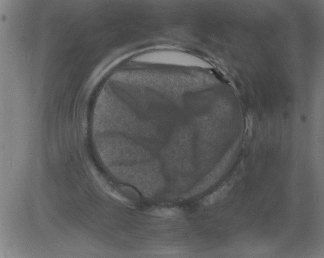 X0000081450247200702092257