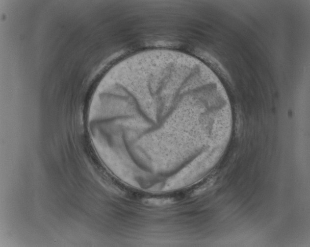 X0000081450251200702092257