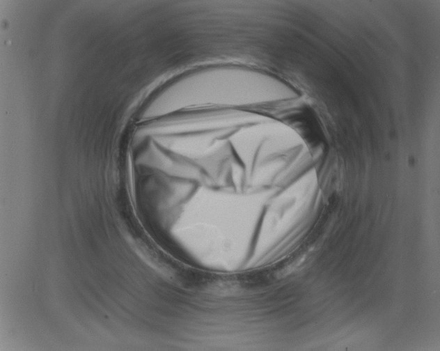 X0000081450252200702092257