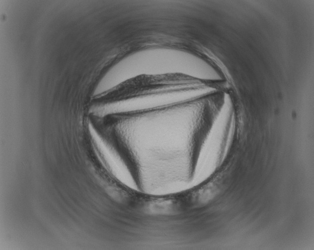 X0000081450257200702092257