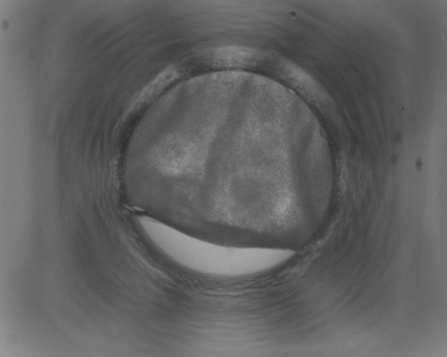X0000081450258200702092257