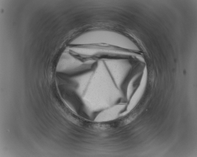 X0000081450261200702092257