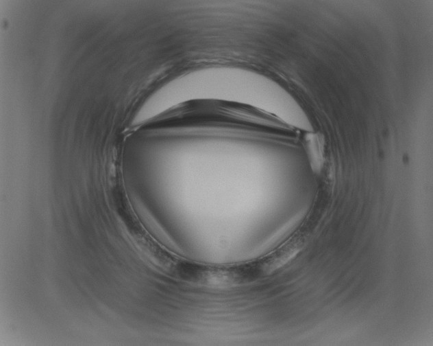 X0000081450264200702092257