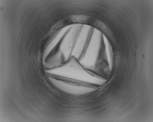 X0000081450265200702092257