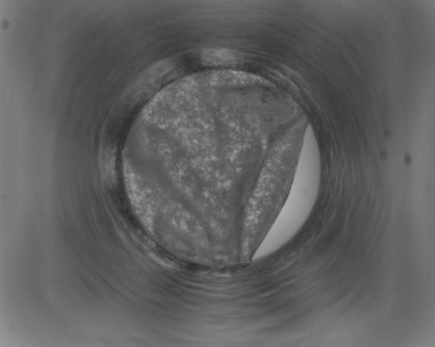 X0000081450267200702092257
