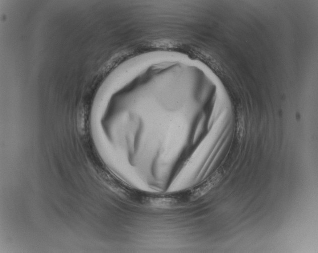 X0000081450268200702092257