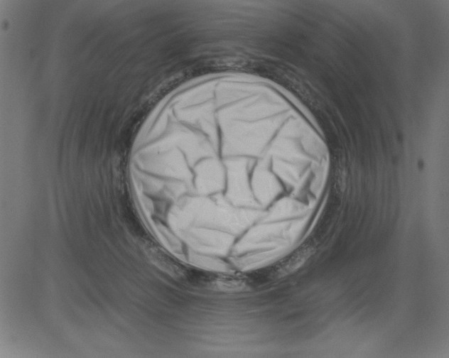 X0000081450270200702092257