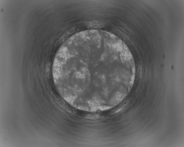 X0000081450271200702092257