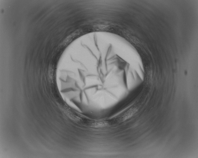 X0000081450274200702092257