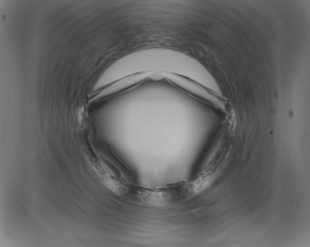 X0000081450276200702092257