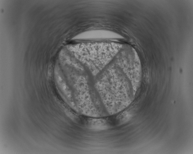 X0000081450277200702092257