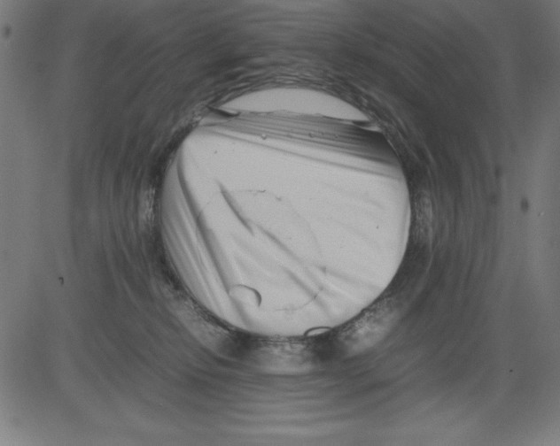 X0000081450278200702092257