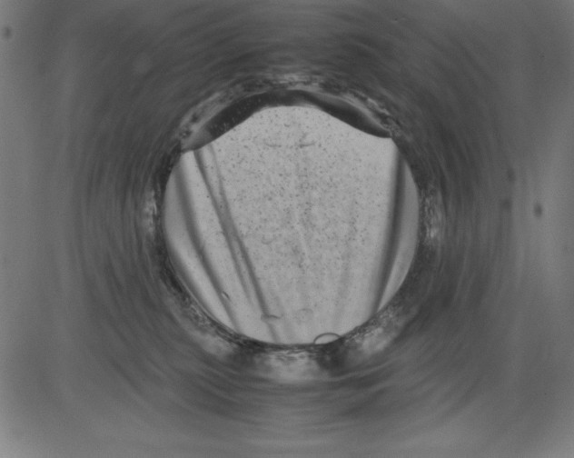 X0000081450279200702092257
