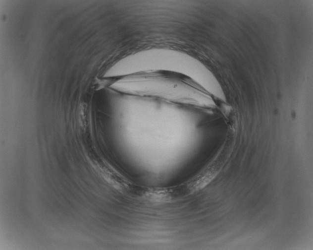 X0000081450280200702092257