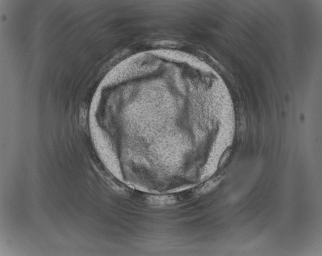 X0000081450281200702092257