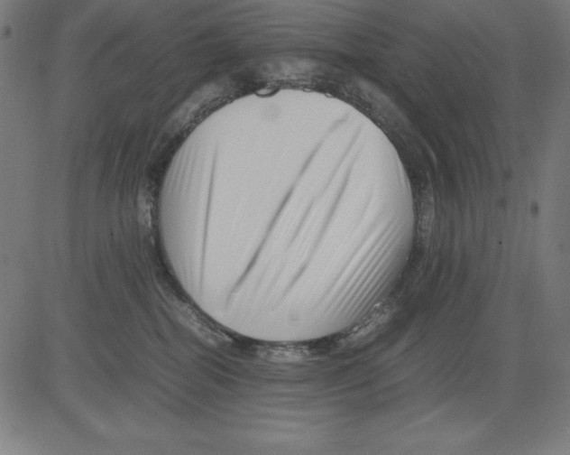 X0000081450282200702092257