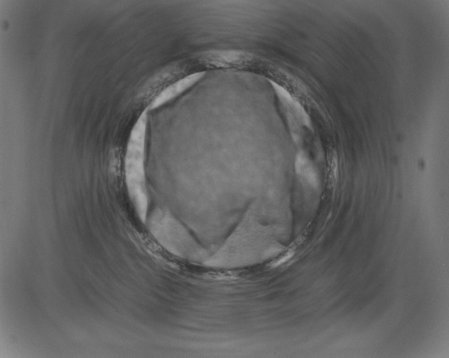 X0000081450284200702092257