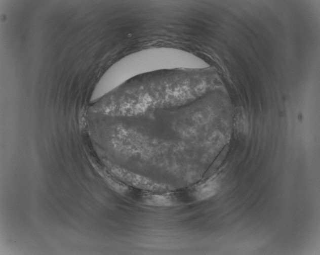 X0000081450285200702092257