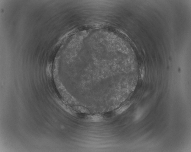 X0000081450286200702092257