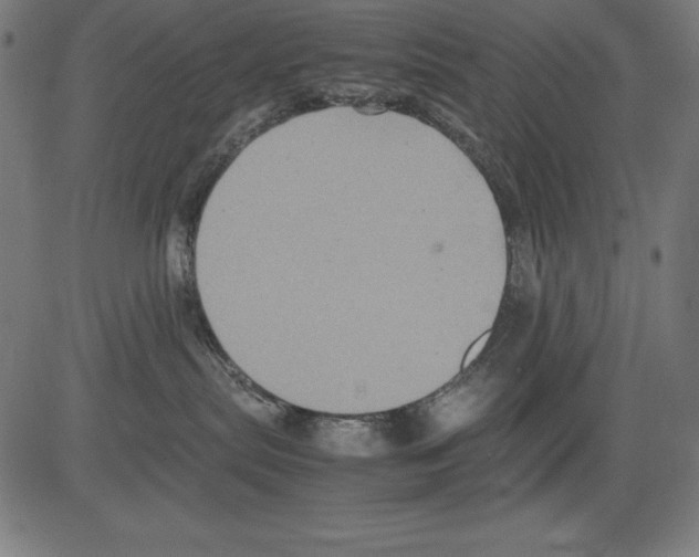 X0000081450287200702092257