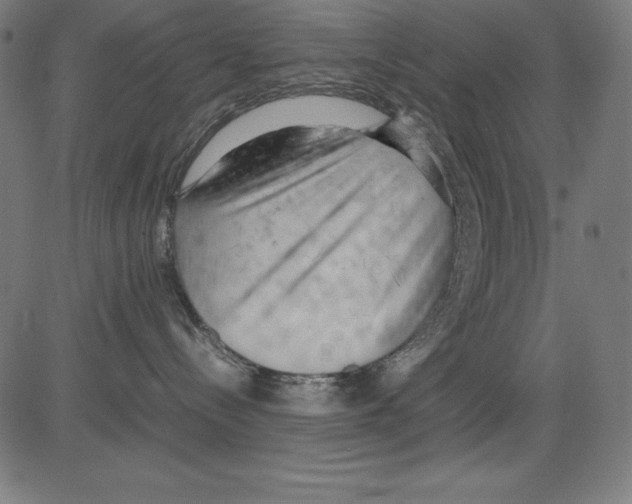 X0000081450288200702092257