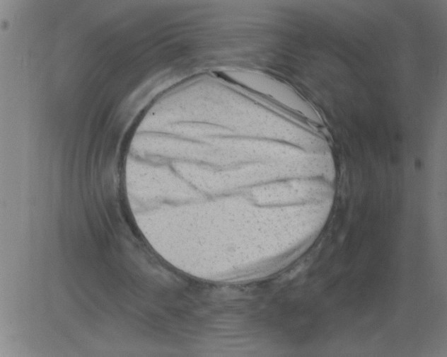 X0000081450290200702092257