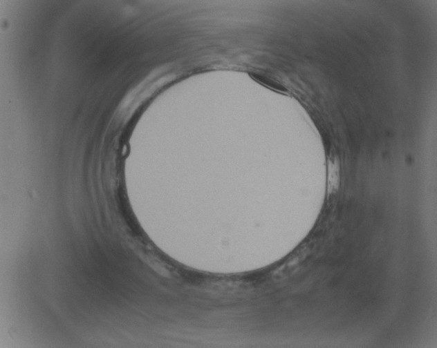 X0000081450291200702092256
