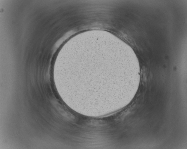 X0000081450292200702092256