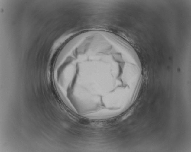 X0000081450294200702092256