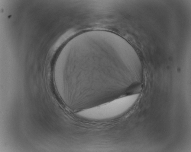 X0000081450295200702092256