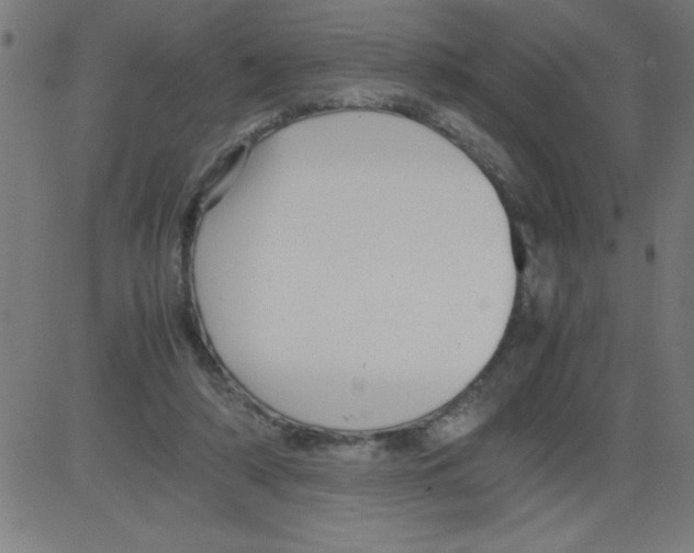 X0000081450306200702092256