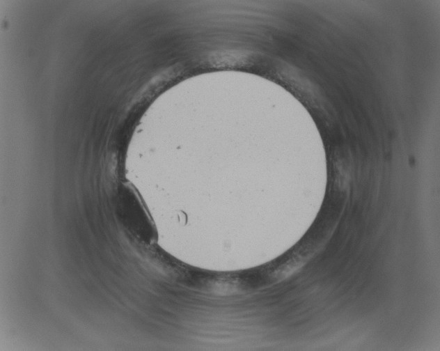 X0000081450308200702092256