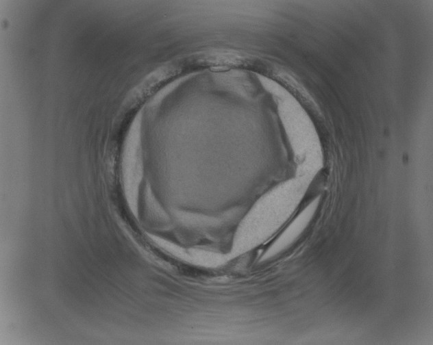 X0000081450309200702092256