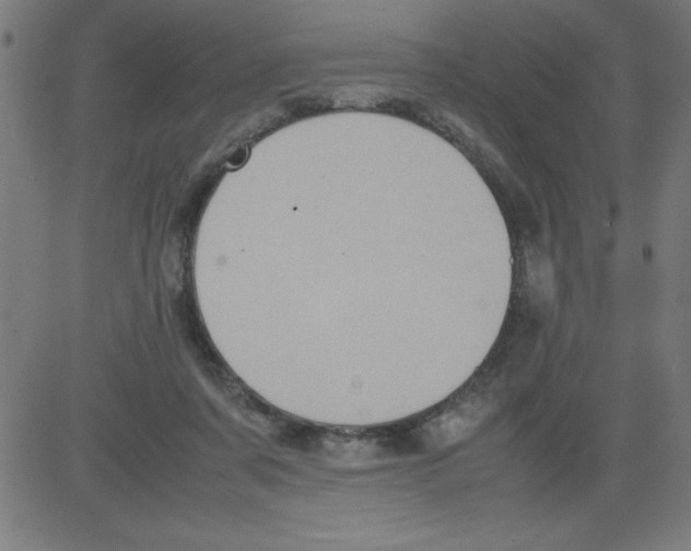 X0000081450311200702092256