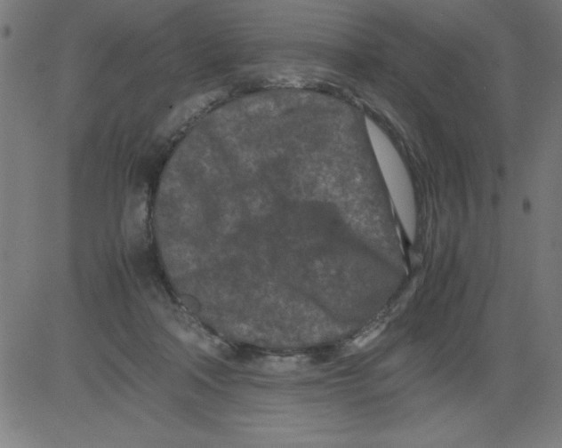 X0000081450314200702092256