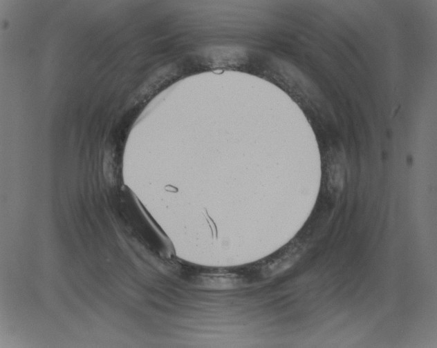 X0000081450316200702092256