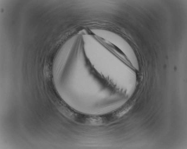 X0000081450317200702092256